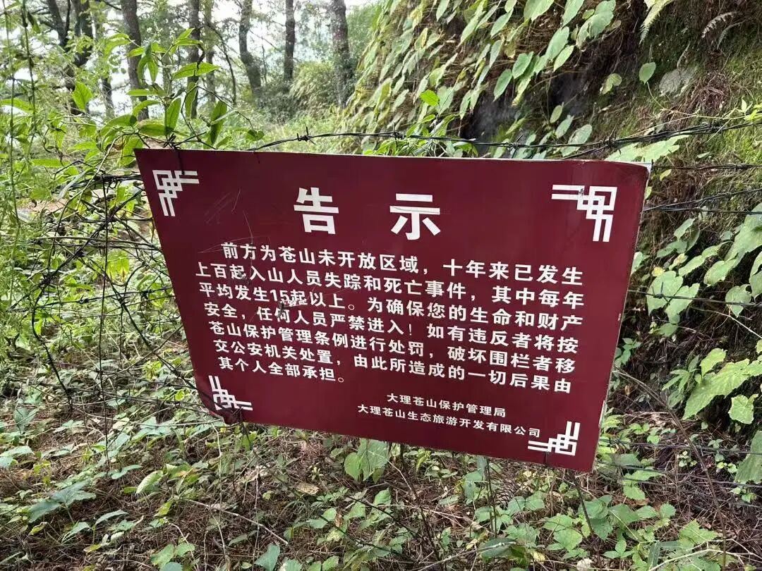 1761903983430547.jpg 4.jpg